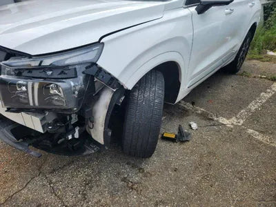 2020 Hyundai Santa FE KMHS581HHMU321463 VIN:KMHS581HHMU321463