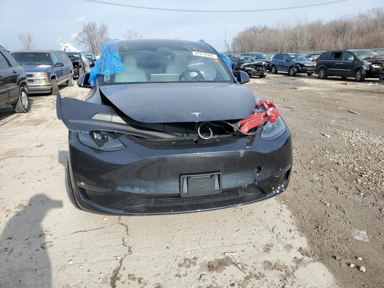 2024 TESLA MODEL Y  VIN:7SAYGDEE5RF995614