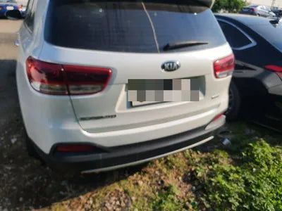 2015 Kia Sorento KNAPS81ABGA175719 VIN:KNAPS81ABGA175719