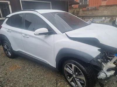 2018 Hyundai Kona KMHK4815GJU262175 VIN:KMHK4815GJU262175