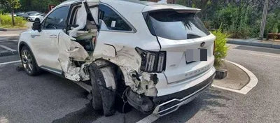 2020 Kia Sorento KNARG81BHMA001830 VIN:KNARG81BHMA001830