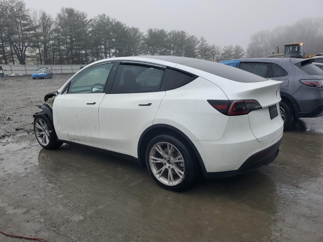 2023 TESLA MODEL Y  VIN:7SAYGDEE1PA114563
