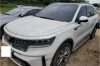 2021 Kia Sorento KNARK81BGMA031614 VIN:KNARK81BGMA031614