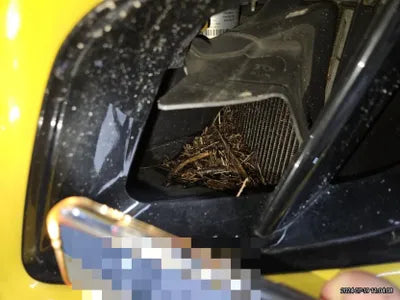 2016 Chevrolet Camaro VIN: