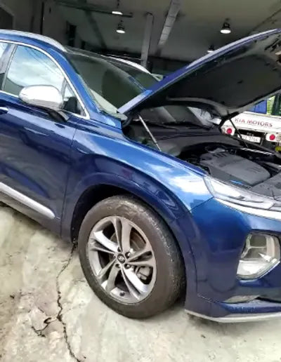 2019 Hyundai Santa FE KMHS581BDKU127306 VIN:KMHS581BDKU127306