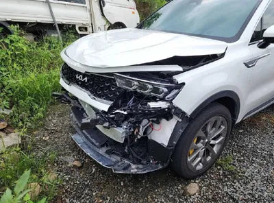 2023 Kia Sorento KNARG81FHPA195674 VIN:KNARG81FHPA195674
