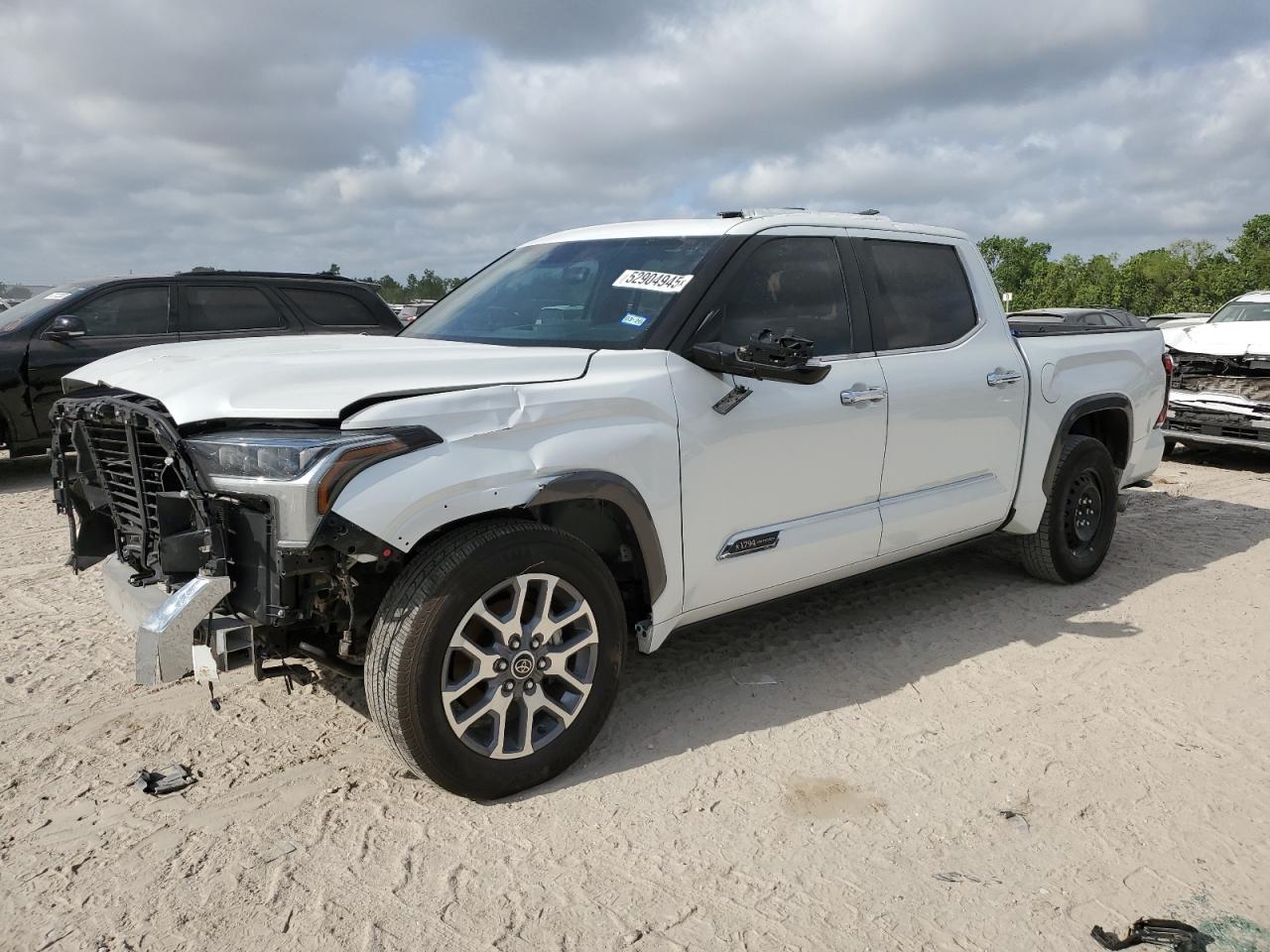 2024 TOYOTA TUNDRA CREWMAX PLATINUM VIN:5TFMA5AB1RX030589