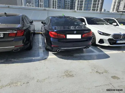 2020 BMW 520 WBAJF310XLWW54506 VIN:WBAJF310XLWW54506