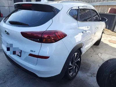 2019 Hyundai Tucson KMHJ5812GKU974503 VIN:KMHJ5812GKU974503