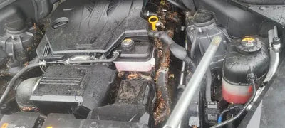 2021 Genesis GV80 VIN: