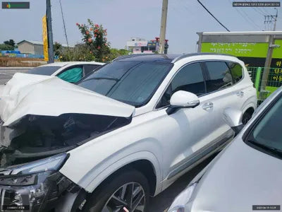 2021 Hyundai Santa FE KMHS581LGMU381902 VIN:KMHS581LGMU381902