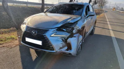 2019 Lexus NX 300 JTJDJRDZ5L2128686 VIN:JTJDJRDZ5L2128686