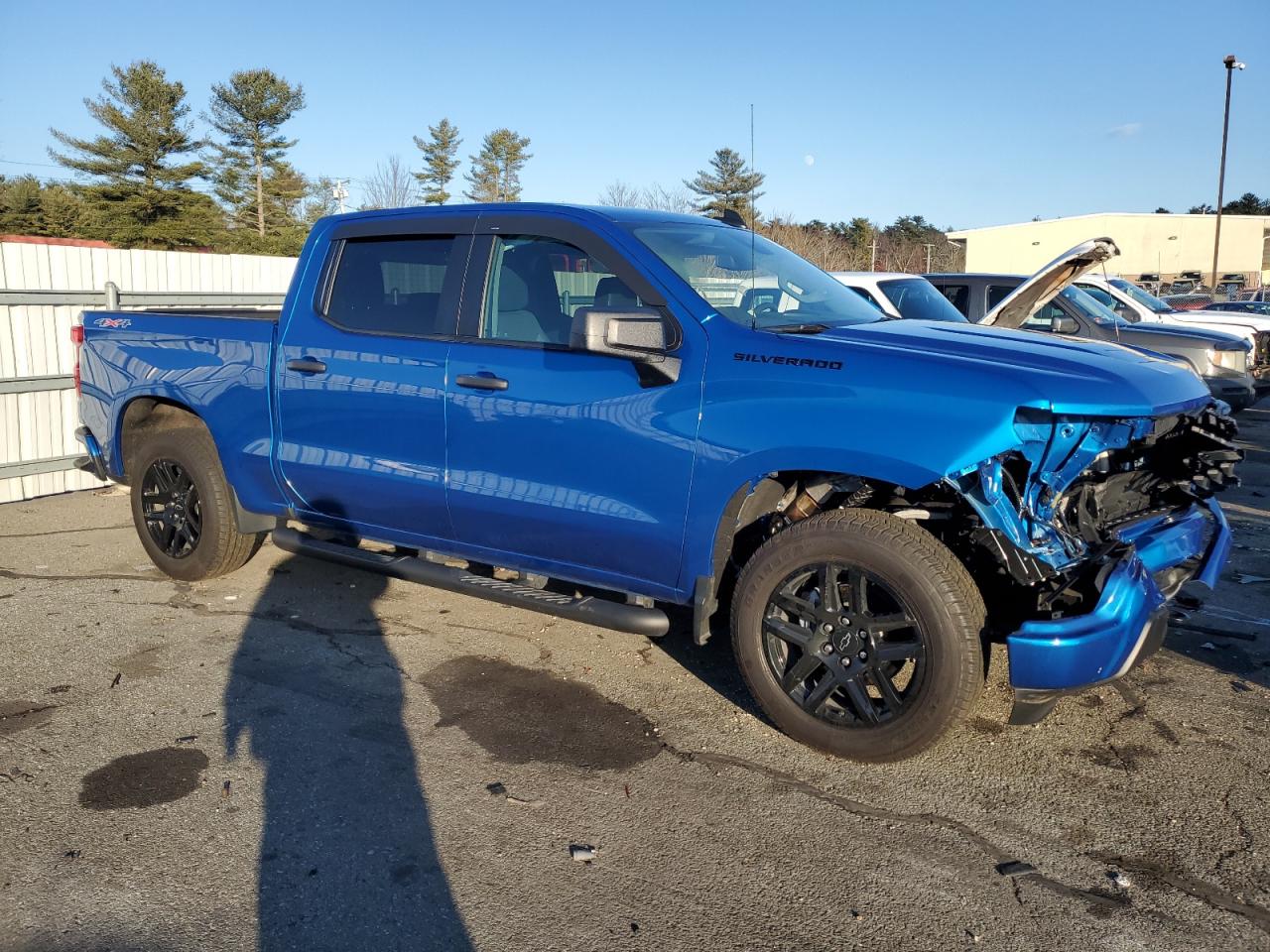 2024 CHEVROLET SILVERADO K1500 CUSTOM VIN:1GCPDBEK8RZ137964