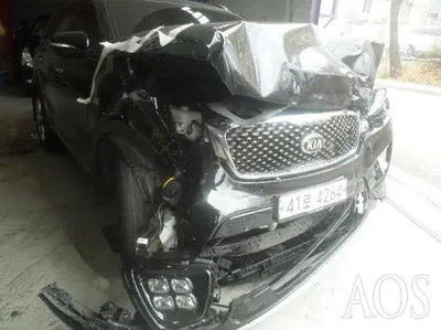 2017 Kia Sorento 698KMKNAPK81ABHA3 VIN:698KMKNAPK81ABHA3