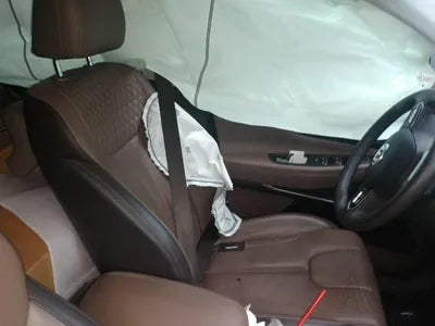 2019 Hyundai Santa FE KMHS381CDKU003486 VIN:KMHS381CDKU003486