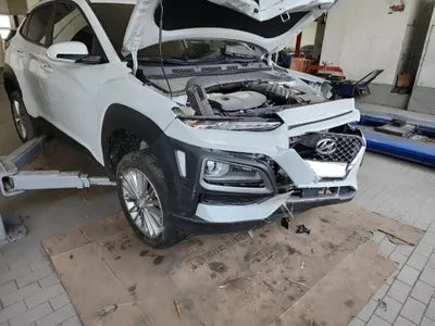 2019 Hyundai Kona KMHK4815GLU492188 VIN:KMHK4815GLU492188