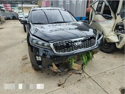 2018 Kia Sorento VIN: