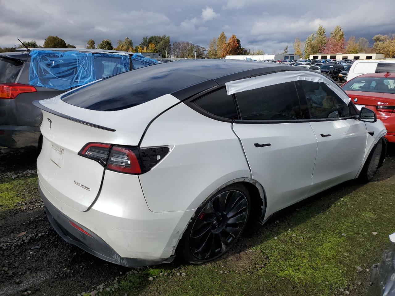 2022 TESLA MODEL Y  VIN:7SAYGDEF6NF493472