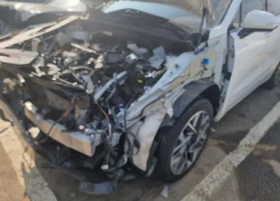 2021 Hyundai Santa FE KMHS581HGMU340009 VIN:KMHS581HGMU340009