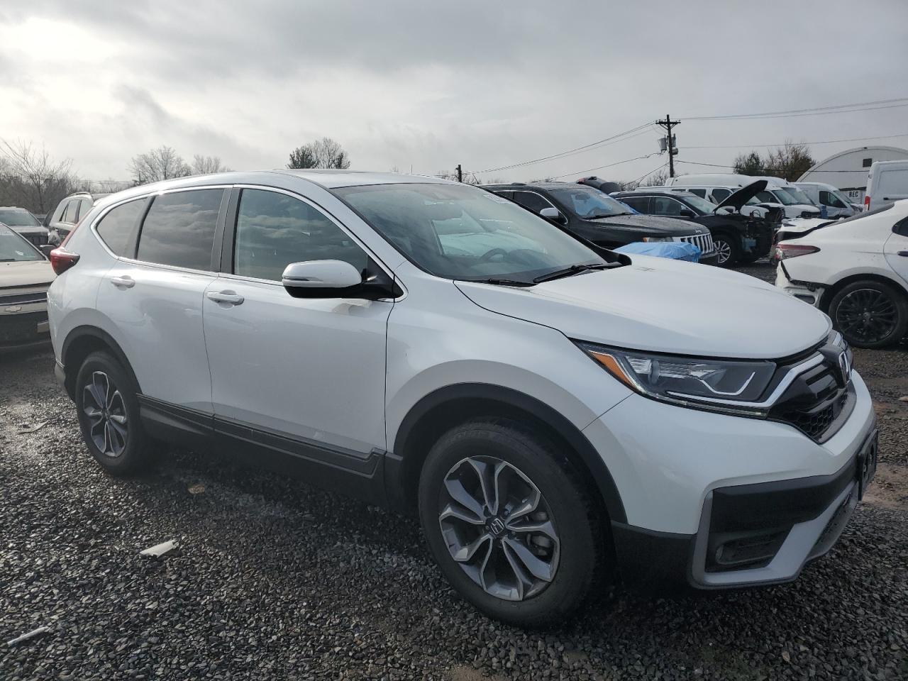 2022 HONDA CR-V EXL VIN:5J6RW2H80NL005081