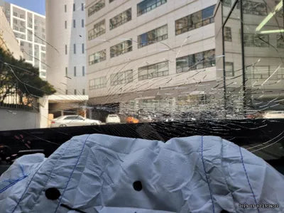 2020 Mercedes-Benz A 220 W1K3G4EB0LJ191031 VIN:W1K3G4EB0LJ191031