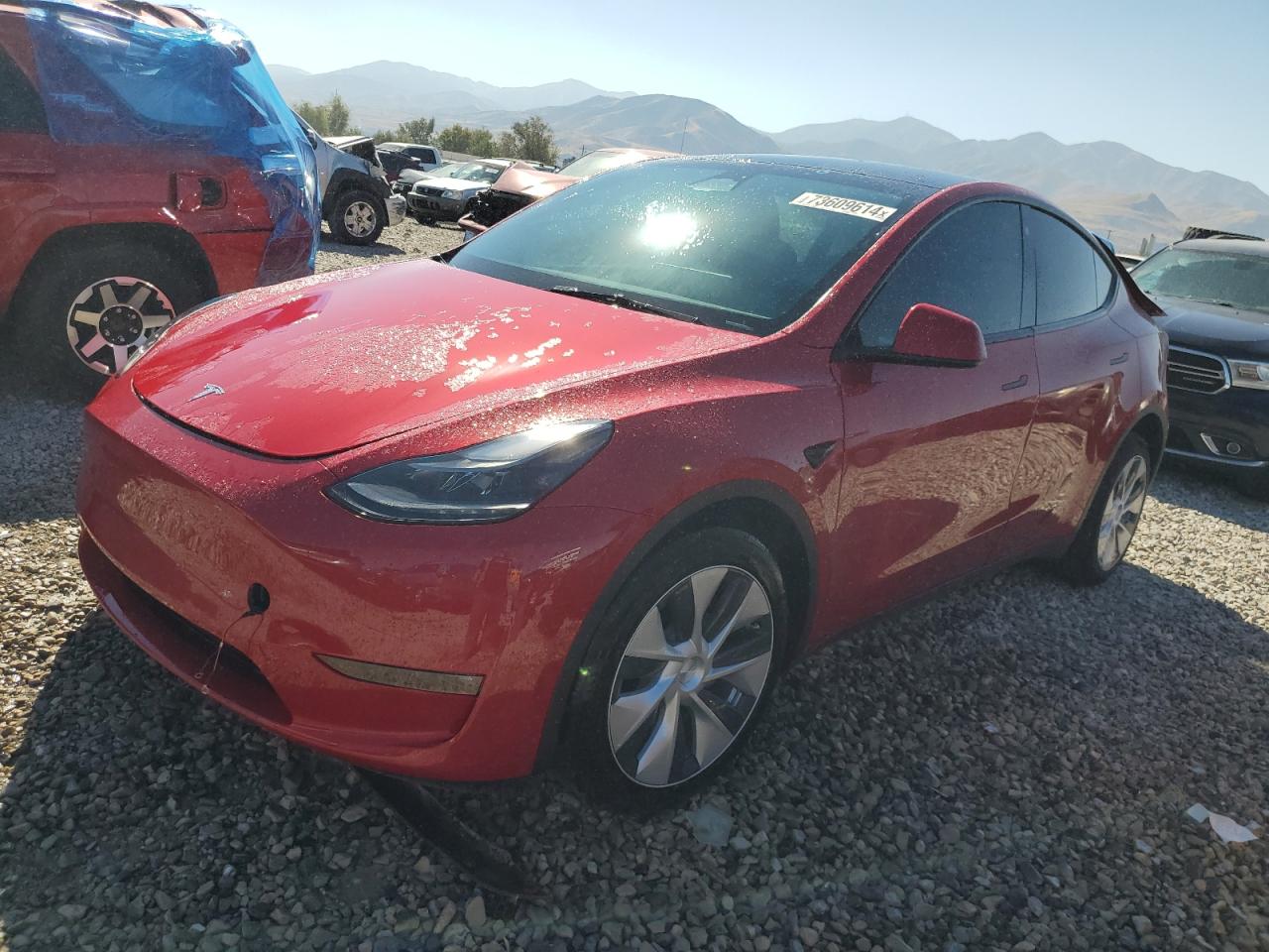 2023 TESLA MODEL Y  VIN:7SAYGDEEXPF714596