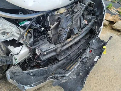 2020 Kia Carnival KNANC81BBMS004700 VIN:KNANC81BBMS004700