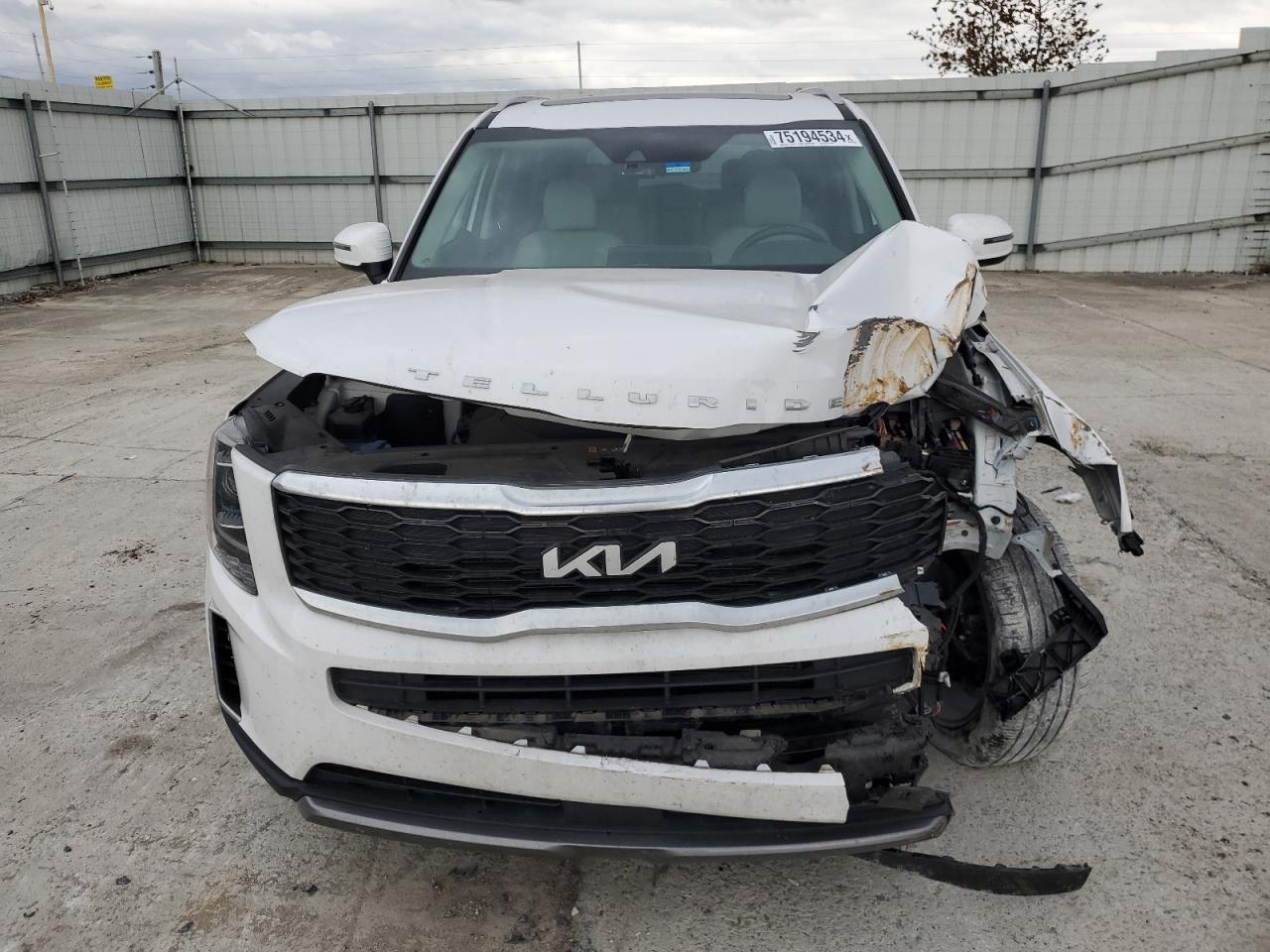 2022 KIA TELLURIDE S VIN:5XYP64HC3NG292764