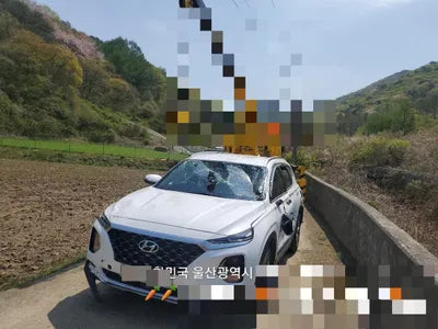 2020 Hyundai Santa FE KMHS281BDLU297854 VIN:KMHS281BDLU297854