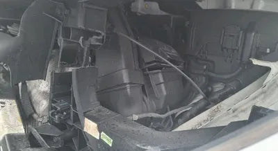 2021 Kia Carnival KNANB81BBMS026208 VIN:KNANB81BBMS026208