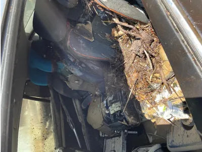 2016 bmw gran turismo efficient dynamics WBA5N2101GG266949 VIN:WBA5N2101GG266949