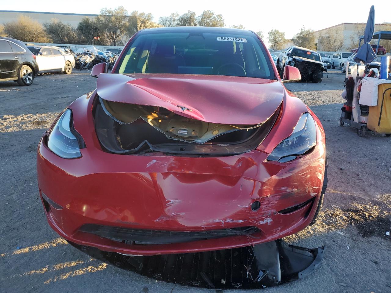 2023 TESLA MODEL Y  VIN:7SAYGDEE1PF608019