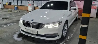 2019 BMW 520 WBAJF5107KWW51458 VIN:WBAJF5107KWW51458