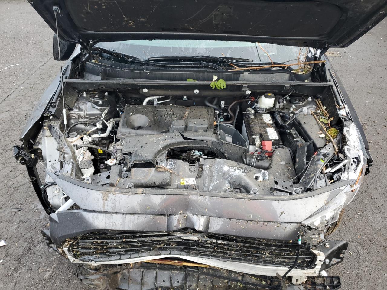 2023 TOYOTA RAV4 LE VIN:2T3F1RFVXPW344536
