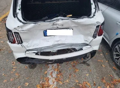 2023 Kia Sorento KNARJ81GBPA204006 VIN:KNARJ81GBPA204006