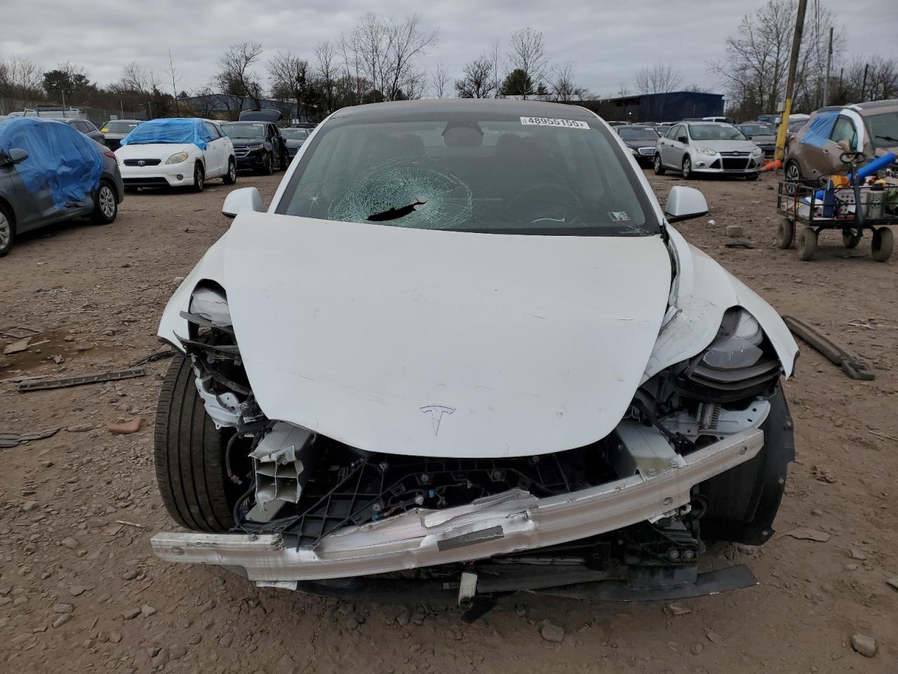2023 TESLA MODEL 3  VIN:5YJ3E1EA1PF604514