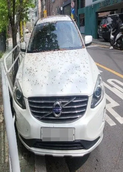 2015 Volvo XC60 YV1DZARBDG2852628 VIN:YV1DZARBDG2852628