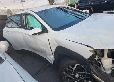 2020 Hyundai Kona KMHK381EGLU036622 VIN:KMHK381EGLU036622