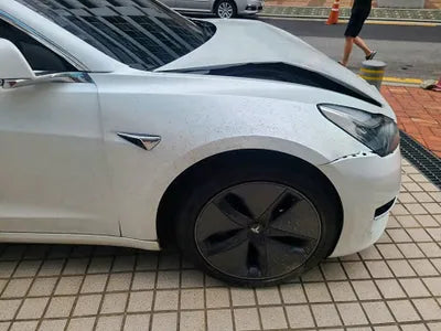 2020 Tesla Model 3 5YJ3E1EB0LF733542 VIN:5YJ3E1EB0LF733542
