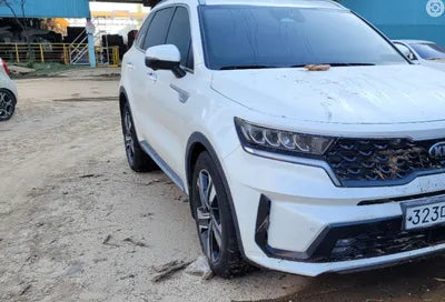2021 Kia Sorento KNARH81GBMA005423 VIN:KNARH81GBMA005423