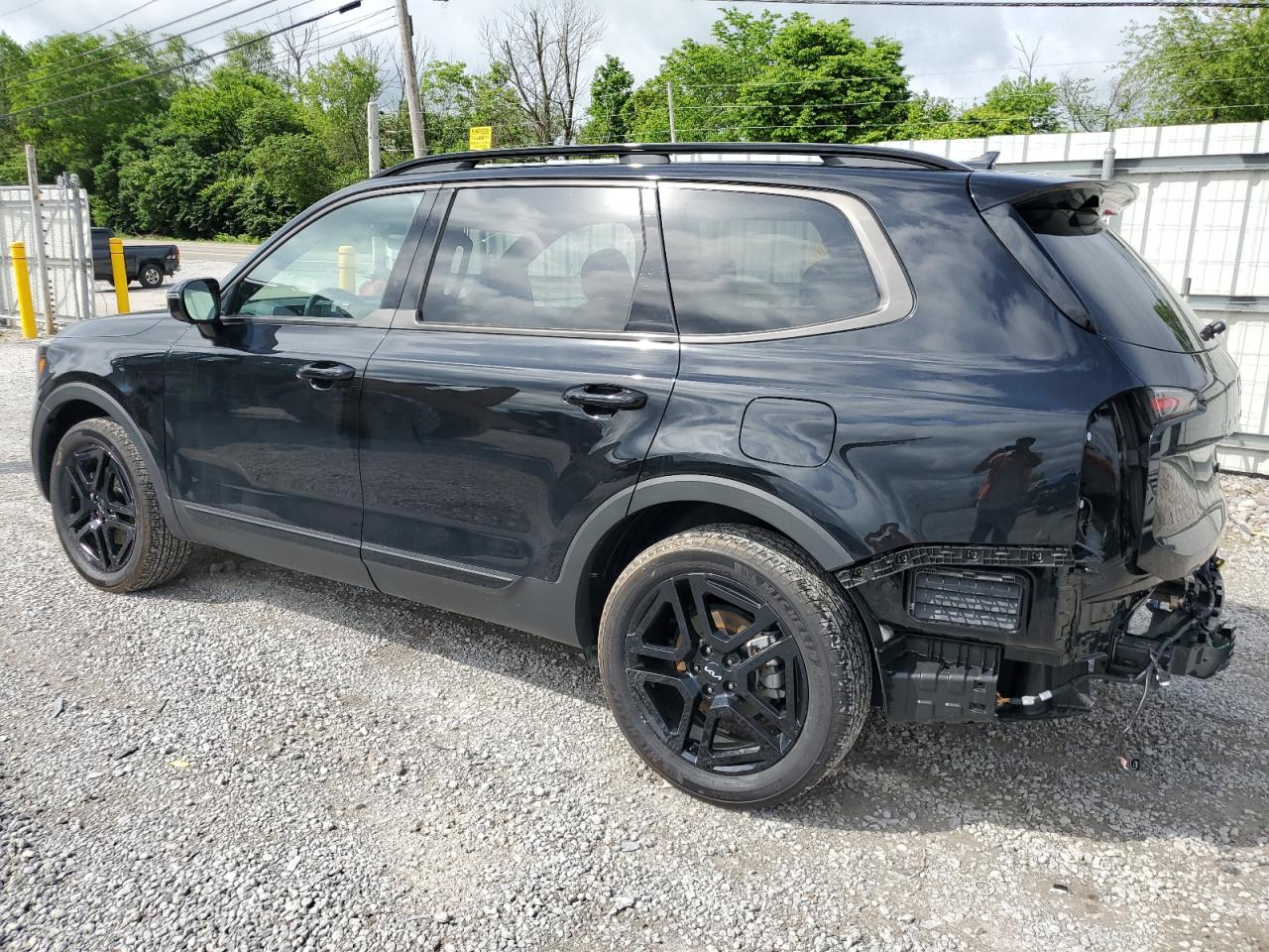 2024 KIA TELLURIDE SX VIN:5XYP5DGC0RG418735