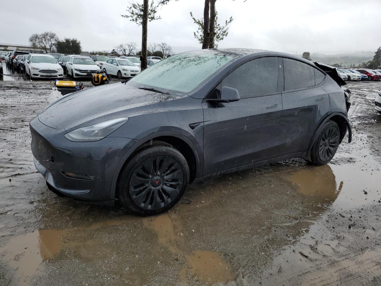 2024 TESLA MODEL Y  VIN:7SAYGDEE8RF060376