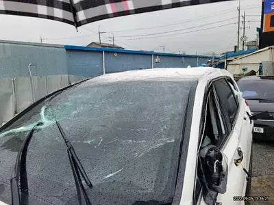 2021 Hyundai Santa FE KMHS281HGMU311253 VIN:KMHS281HGMU311253