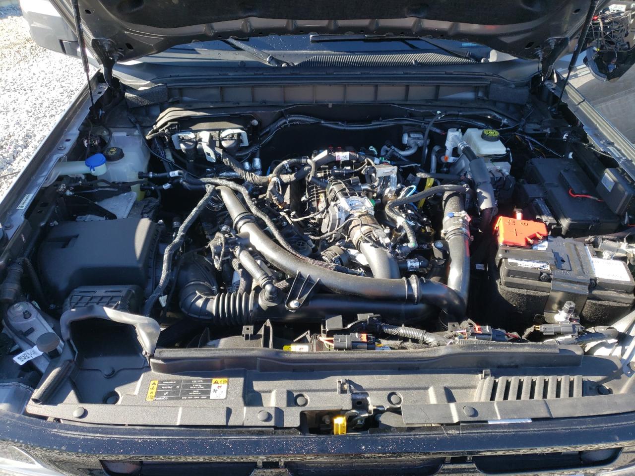 2023 FORD BRONCO BASE VIN:1FMDE5AP3PLB69560