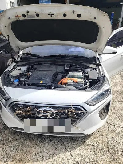 2019 Hyundai Ioniq VIN: