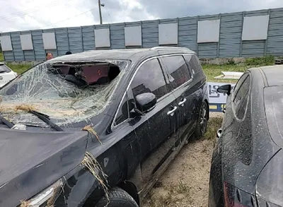 2017 Kia Carnival KNAMC81ABHS281610 VIN:KNAMC81ABHS281610