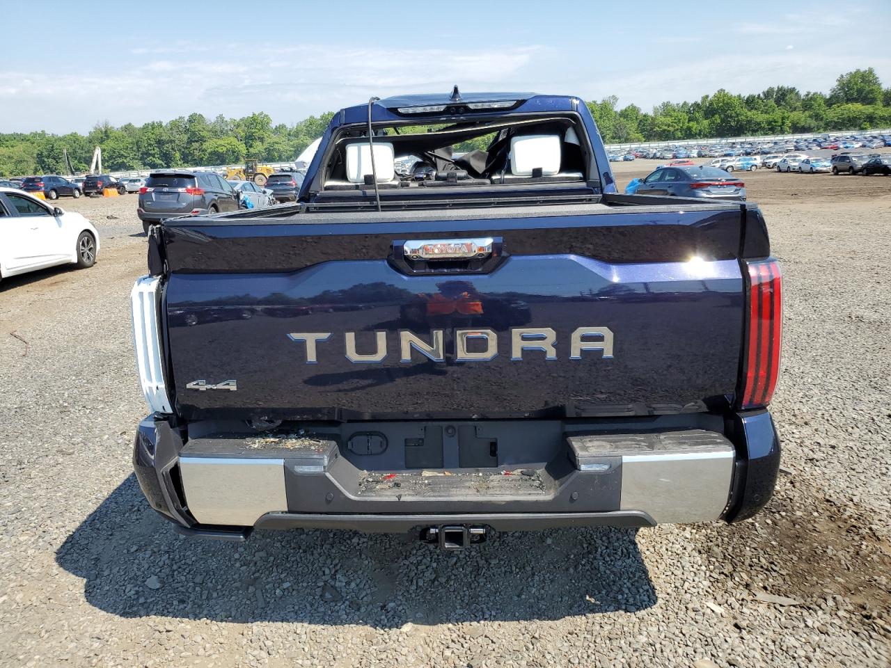 2023 TOYOTA TUNDRA CREWMAX CAPSTONE VIN:5TFVC5DB9PX028516