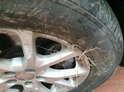 2017 Jeep Cherokee 1C4PJMCB4HW562492 VIN:1C4PJMCB4HW562492