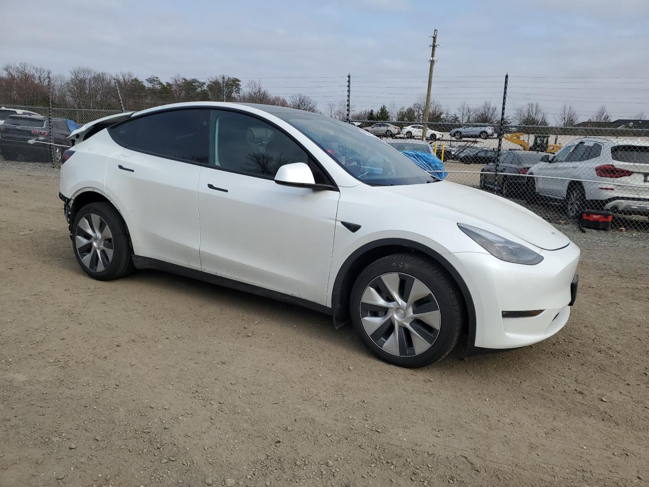 2023 TESLA MODEL Y  VIN:7SAYGDEE6PF836551