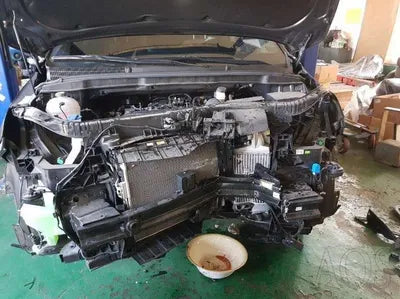 2021 Kia Carnival KNANC81BBMS063366 VIN:KNANC81BBMS063366